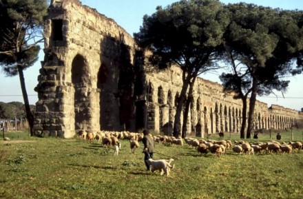 Ovini tosaerba, la Raggi firma l'accordo